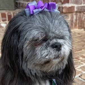 Meet your Posher, Deandra